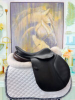 17” CWD Se02 2L - Image 2