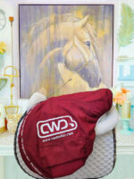 17” CWD Se03 2L Like New - Image 9