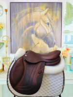 17” CWD Se03 2L Like New