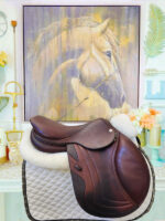 17” CWD Se03 2L Like New - Image 2