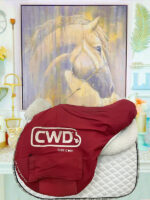 17” CWD SE01 2L With Pro Panels - Image 8