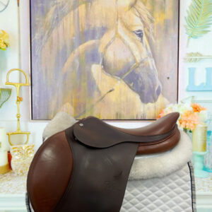 17” Bruno Delgrange PJ Pro Jumping Saddle