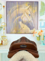 17” Bruno Delgrange PJ Pro Jumping Saddle - Image 6