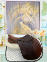 17” Bruno Delgrange PJ Pro Jumping Saddle - Image 2