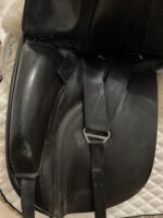 17.5” Ideal Suzannah - Image 7