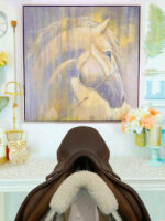 17.5” 3A Antares Contact Jump Saddle - Image 5