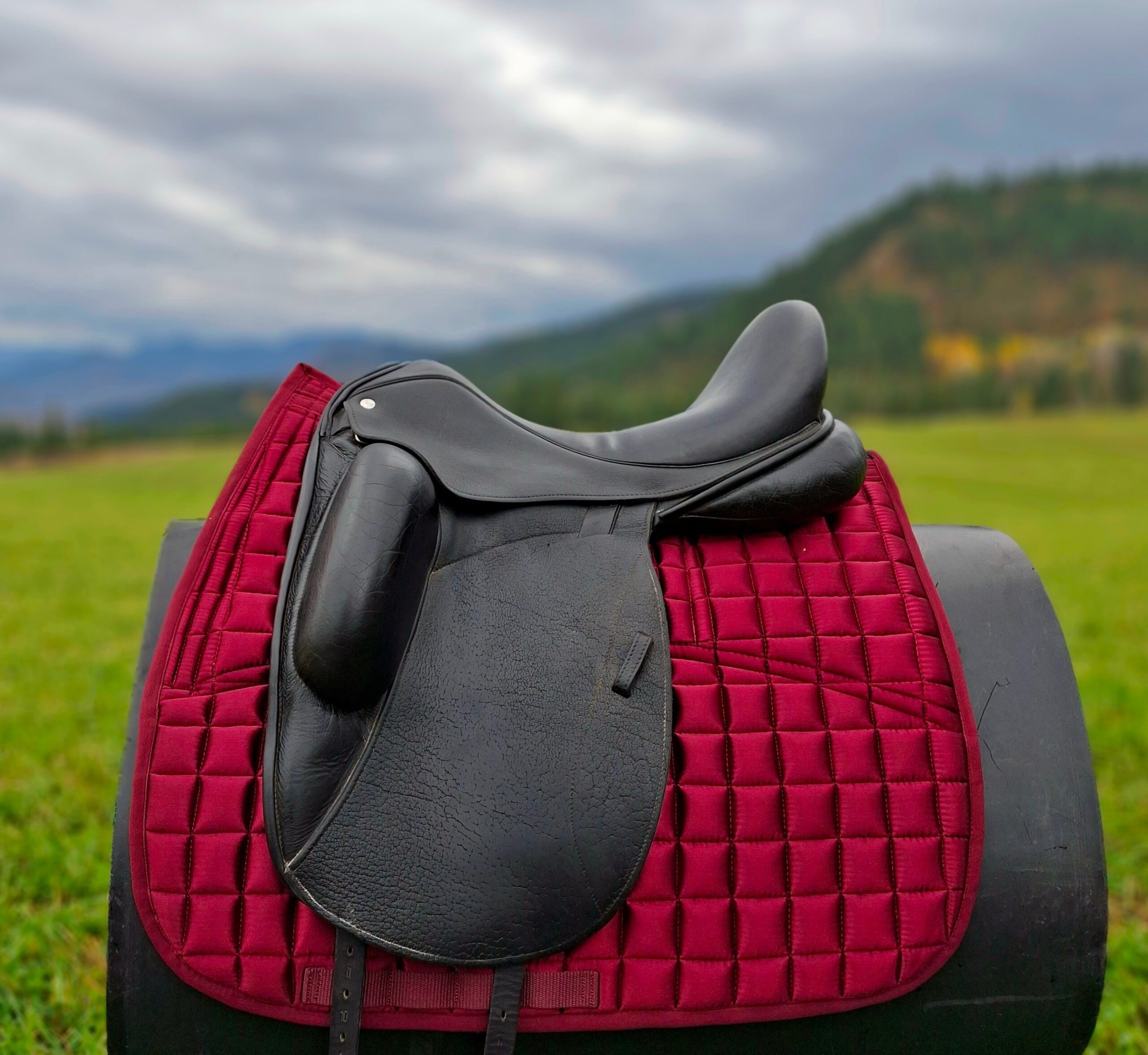 20241026_104628_7fe7905c-98b4-4b10-8abc-3a661ef3cce3 17.5" Used Custom Icon Flight Dressage Saddle - Image 1