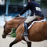 Ecogold Shimcare Hunter Saddle Pad - Size Large - Image 3