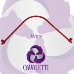 Cavaletti Collection Gullet Bars - Image 6